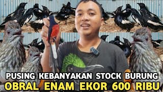 Download lagu OBRAL ! SIRI² GACOR 100 RIBU KACER GACOR 250 RIBU MURAI BATU ENAM EKOR 600 RIBU PASAR BURUNG PRAMUKA mp3 Download lagu OBRAL ! SIRI² GACOR 100 RIBU KACER GACOR 250 RIBU MURAI BATU ENAM EKOR 600 RIBU PASAR BURUNG PRAMUKA mp3