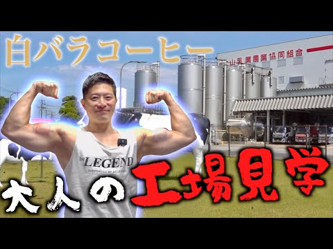 白バラコーヒー味のプロテインが発売されるぞ!