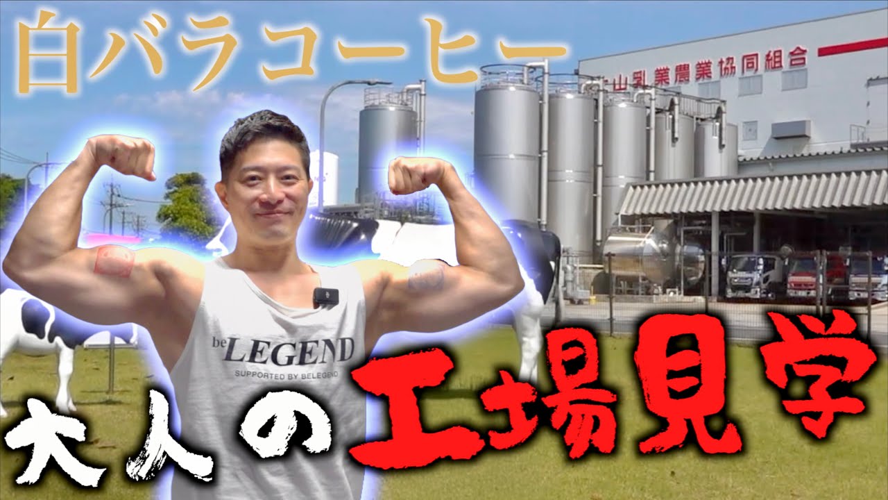 白バラコーヒー味のプロテインが発売されるぞ！