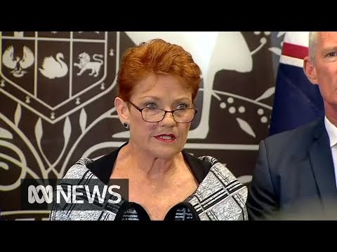 Pauline Hanson says media was blinded by hate for One Nation in reporting NRA sting | ABC News