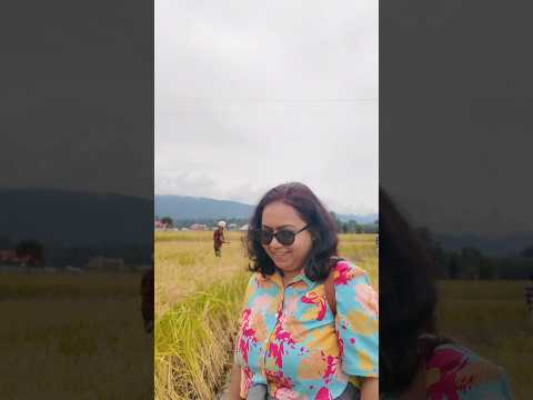 Traveller feedback — Ziro Short #1