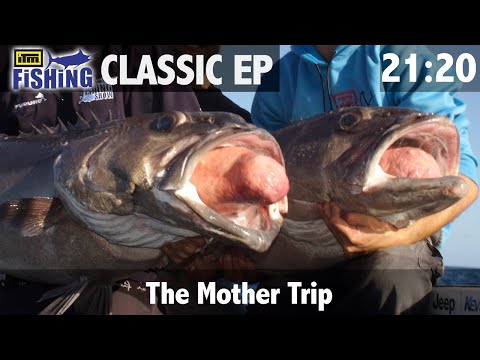 Yellowfin Kingfish Madness Part 3 - The Mother Trip