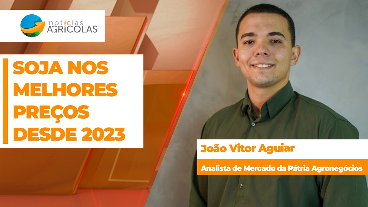Preços da soja no Brasil são os melhores desde 2023; atenção às vendas produtor