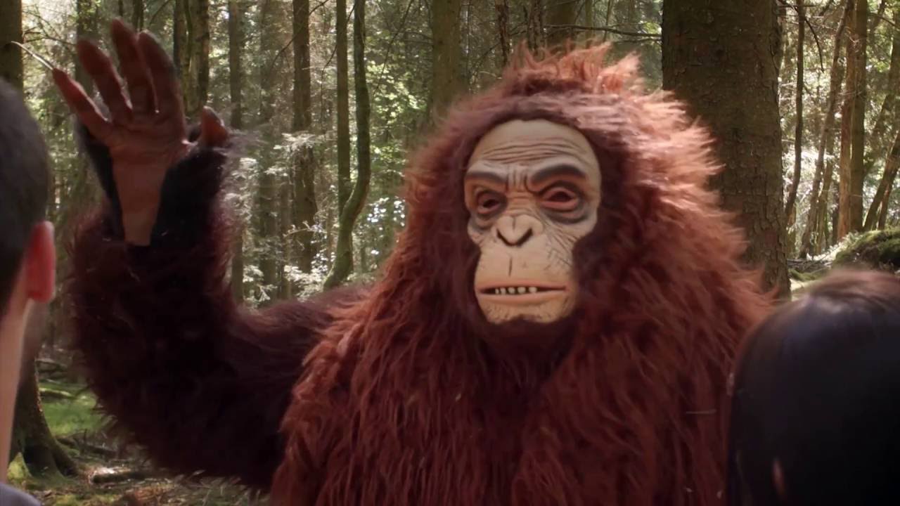 Sasquatch Trailer (Official)