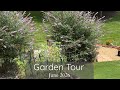 Butterfly Garden Tour June 2026