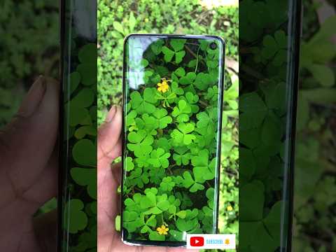 Samsung galaxy s10 5g ultra mode camera test#viralshort#2024new