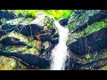 Trip To Dharagiri Falls Ghatshila Thewildartharider