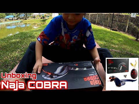 Unboxing Naja Cobra || Infrared Remote Control Electric Insect Simulation