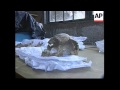 MEXICO: HUMAN SKULLS FOUND INSIDE PYRAMID OF THE MOON - AP Archive MEXICO: HUMAN SKULLS FOUND INSIDE PYRAMID OF THE MOON