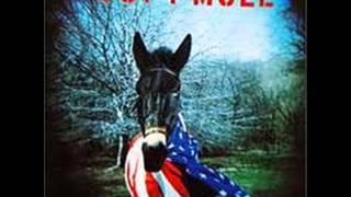 Widespread Panic and Gov't Mule I Shall Be Released