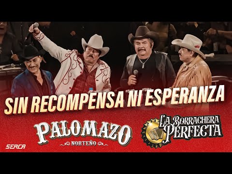 Palomazo Norteño / Eliseo Robles , Lalo Mora : Sin Rencompensa Ni Esperanza ( Video Oficial )