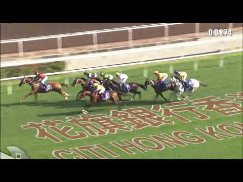 金鎗六十21/02/21……(447)第七塲一級2000米