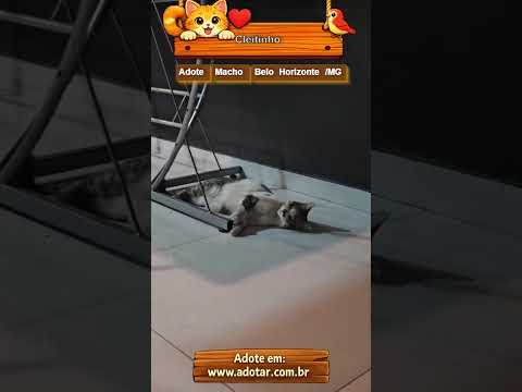 Vídeo de Cleitinho