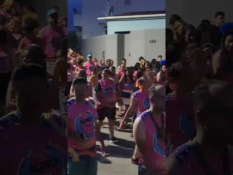 CARNAVAL EM FEIRA GRANDE