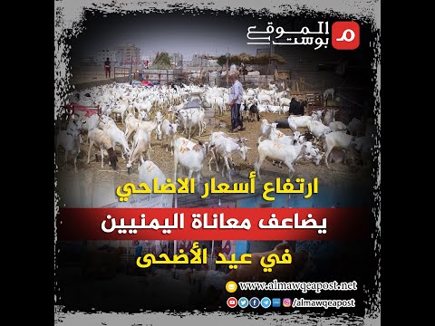 شاهد.. ارتفاع أسعار الاضاحي يضاعف معاناة اليمنيين في عيد الأضحى