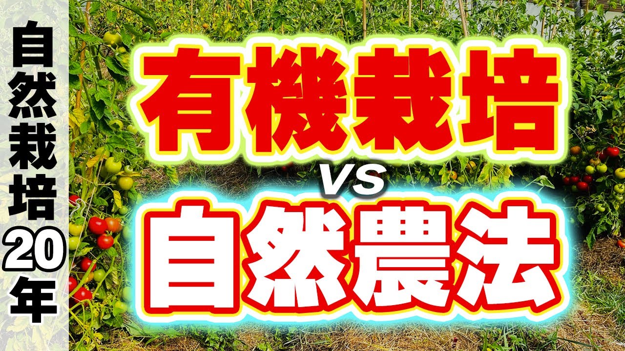 自然農法と有機栽培の根本的な違い