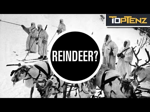 10 Crazy Ways Finland Fought Off Soviet Domination