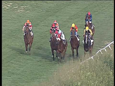 Galoppo 05/03/2019 - 2ª corsa