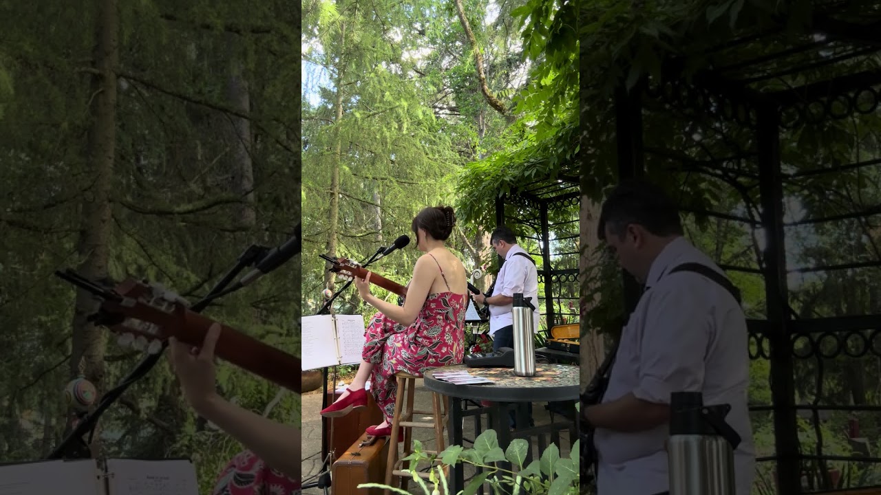 Promotional video thumbnail 3 for Bronwen Roberts Music