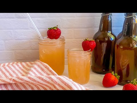 Home-Brewed Kombucha Tea Recipe