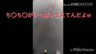 短い動画に面白く編集しただけw(真顔で編集しました)