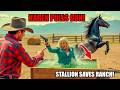 HOA Karen Pulls Gun On My Ranch Blaze S Hooves Of Justice