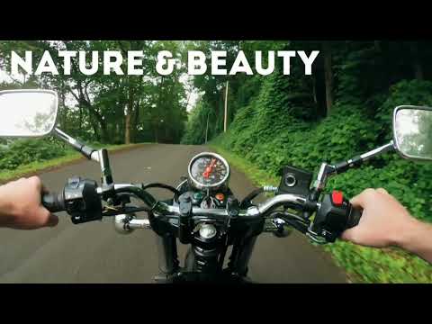 Lovely Marriage Proposal On Beach
