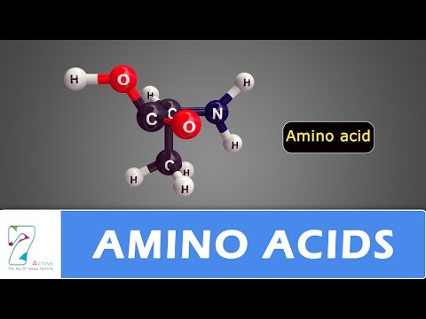 Amino acids