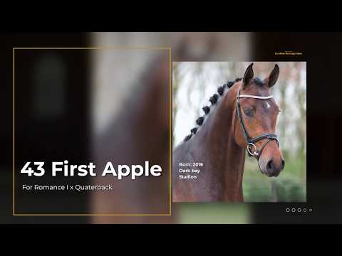 First Apple, Stallion, 2016, For Romance I – Quaterback