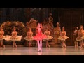Sleeping Beauty Fairy Variation Sabrina Mallem