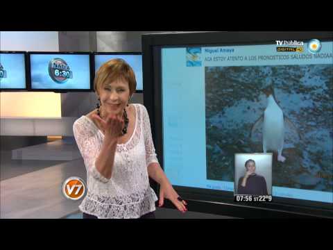 Nadia 6.30: Segunda parte del 31-01-2014