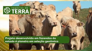 Miniatura do vídeo