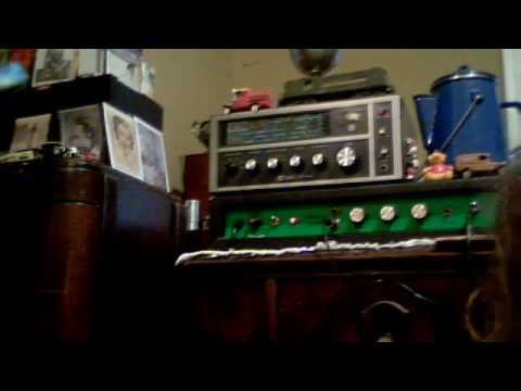 C-O-O-L  .. Taurus spring reverb unit   60's-70's??
