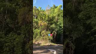 Download lagu Tamborasi Salah Satu Jalan Paling Terjal di Kolaka Utara Sulawesi Tenggara | Letter S mp3