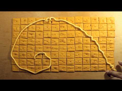 Say cheese 20150528.html 1