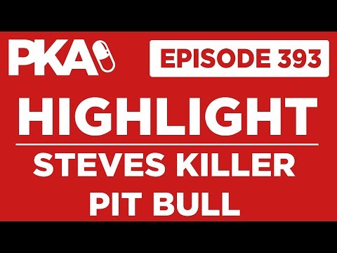 PKA 393 Highlight Steves Killer Pit Bull