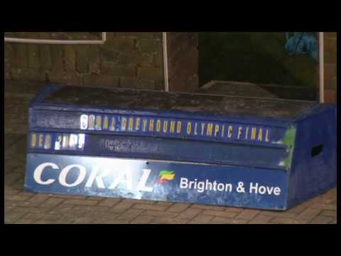 King Sheeran - Coral Greyhound Olympic - Final 2019