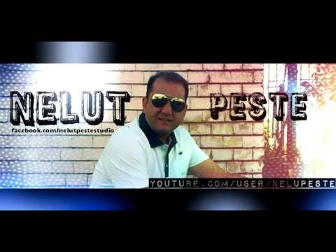COLAJ MUZICA DE PETRECERE NELUT PESTE  - NELUT PESTE STUDIO