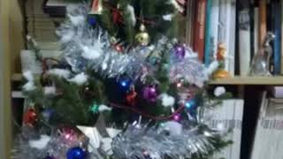 WHITE CHRISTMAS - VOCE DI DORIS DAY