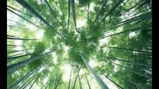 เพลงสำหรับนั่งสมาธิ