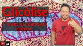 Glicólise - 1ª etapa da respiração aeróbia - Bioenergética