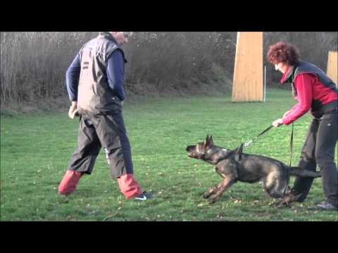 Hesi Zde-Sko - 5 moonths