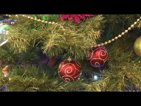 Jurnal MUSCEL TV 24 12 2020 Povestea bradului de Crăciun