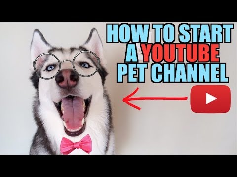 How To GROW YOUR CHANNEL And Make Money By Filming Your Pets!