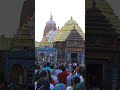 Puri Jagannath Temple Odisha Viral Video Jagannthtemple Puri Shortvideo Status