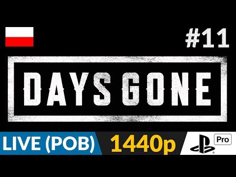 Days Gone PL 🌄 #11 (odc.11 Poboczne - live) 🛵 Gniazda cz.2 i obiekt Nero | Gameplay po polsku 4K