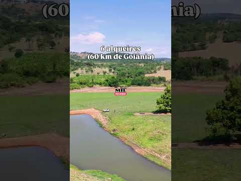 Chácara a venda em Araçu, Goiás  - 6 alqueires a 60 km de Goiânia #chacaraavenda #agro