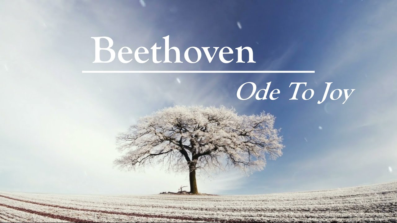 🎹Best Interpretation🎵BEETHOVEN (ODE TO JOY) - MUSIC LIFE
