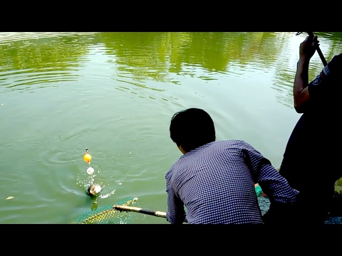 Một ngày theo chân các cần thủ câu cá hồ ở Sài Gòn
