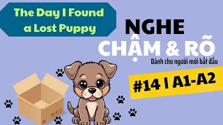 Luyện Nghe Tiếng Anh Chậm & Rõ #14 | English Listening for Beginners (A1–A2)